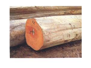 �c(di��n)���鿴���ѷŴ�DƬ