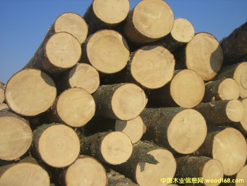 �_�R�၆��ľԭľ��Ԕ����B