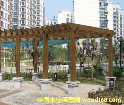 �c���鿴����ľ�Ŵ�DƬ