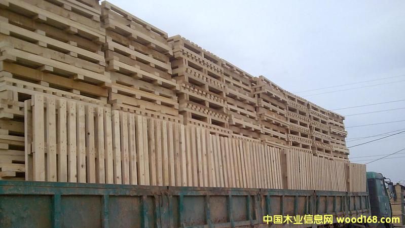 �c���鿴tjfrmy��Ԕ��(x��)�Y��