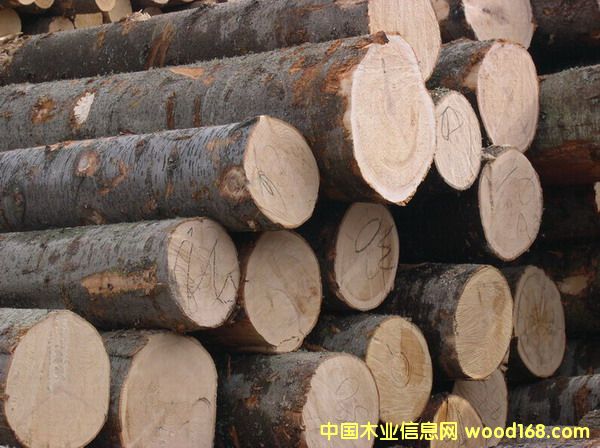 ԭľ��Ԕ��(x��)��B