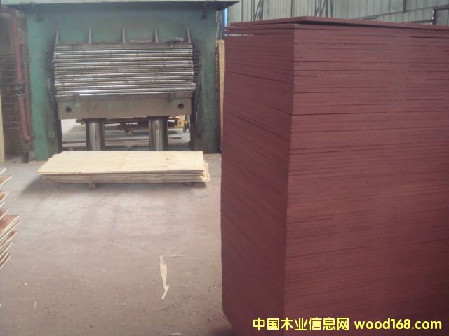 �c(di��n)���鿴����ģ���z�ϰ�Ŵ�DƬ