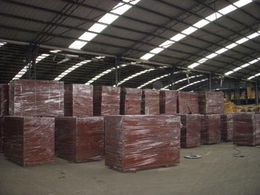 �c���鿴�z�ϰ�Ŵ�DƬ