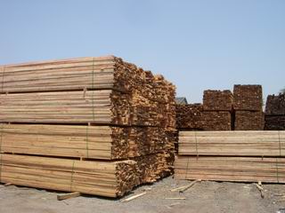 �c���鿴������ľ���Ŵ�DƬ