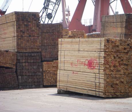 �c���鿴���NҎ(gu��)��ľ���Ŵ�DƬ