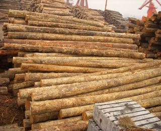 �c���鿴�Fɼԭľ�Ŵ�DƬ