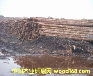 �c���鿴���~��ԭľ��Ԕ��(x��)�Y��