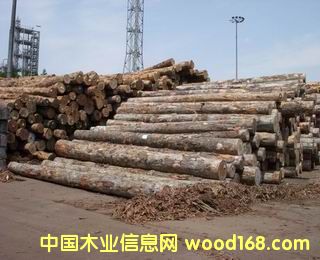 �c���鿴ݗ����ԭľ��Ԕ��(x��)�Y��