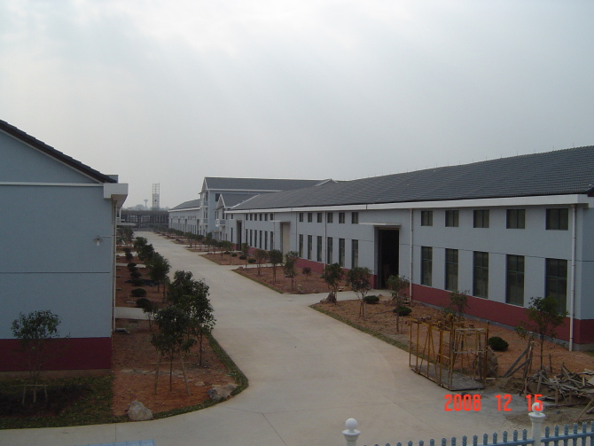 ��˾܇�g��Ԕ����B