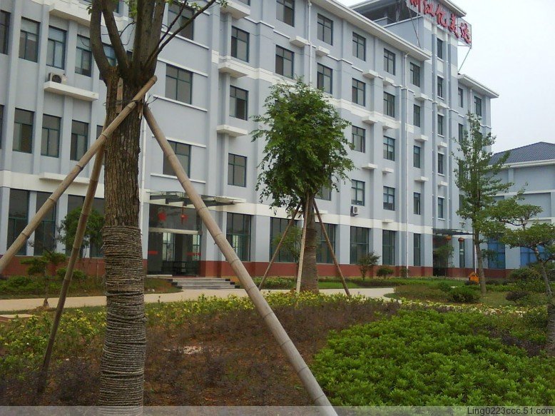 ��˾�k���ǵ�Ԕ����B