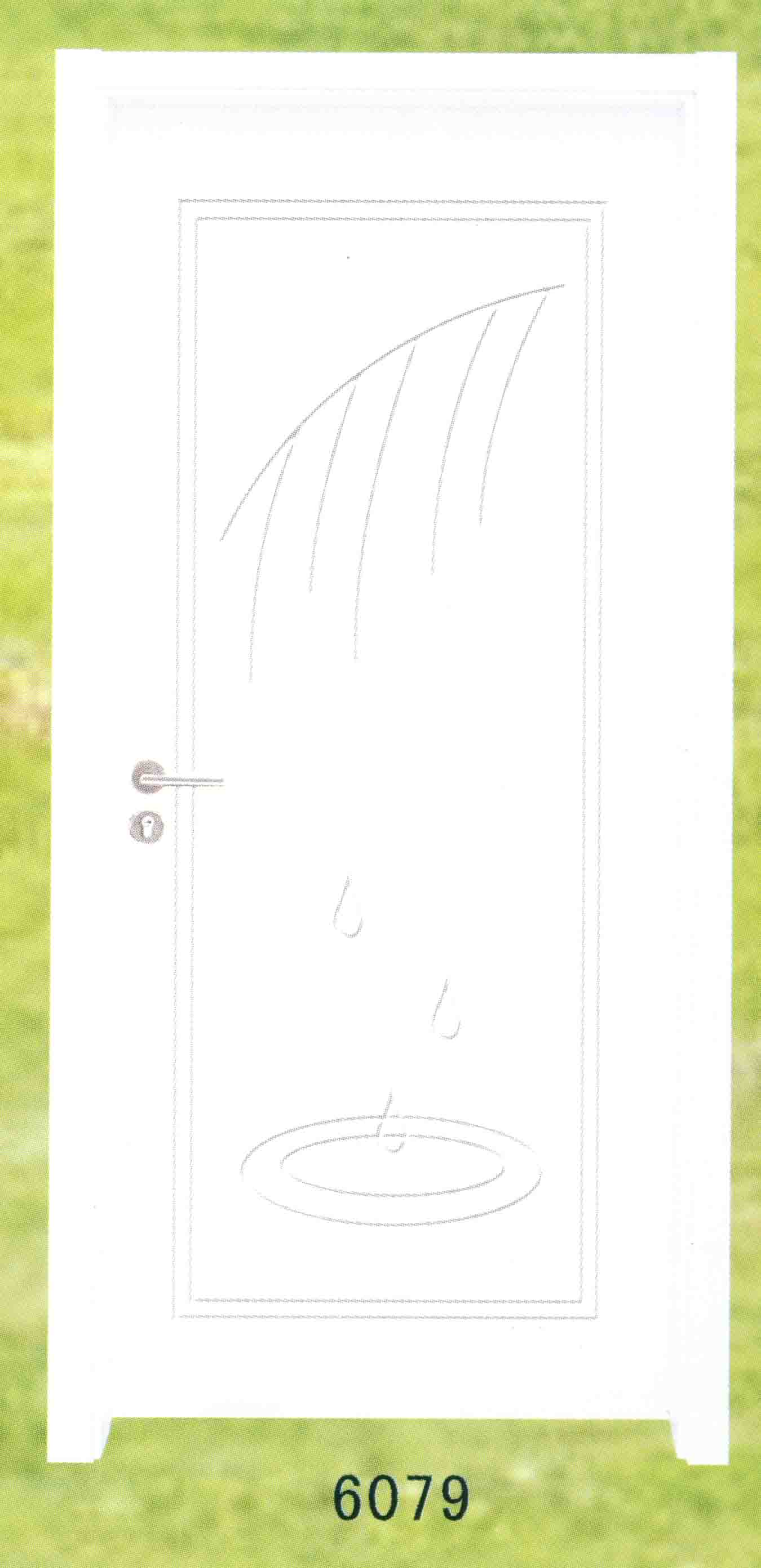 �c���鿴��ľ�T�Ŵ�DƬ