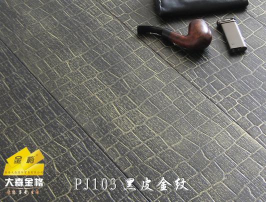 �c(di��n)���鿴PJ103#�S��׷Ŵ�DƬ