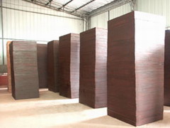 ��(x��)ľ�����Ԕ��(x��)��B