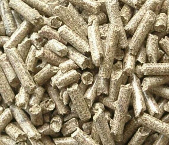 �c(di��n)���鿴ľм�w���Ŵ�DƬ