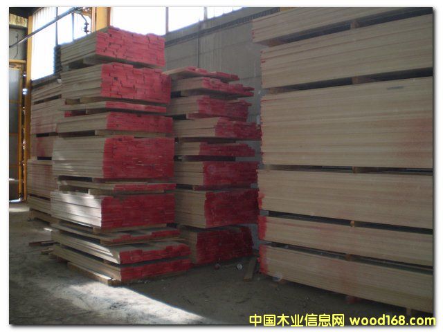 �c(di��n)���鿴��ľ��ķŴ�DƬ