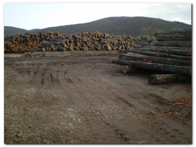 �c(di��n)���鿴�W�ޙ�ľԭľ�Ŵ�DƬ