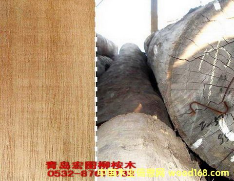 ���u�������ľ��Ԕ����B