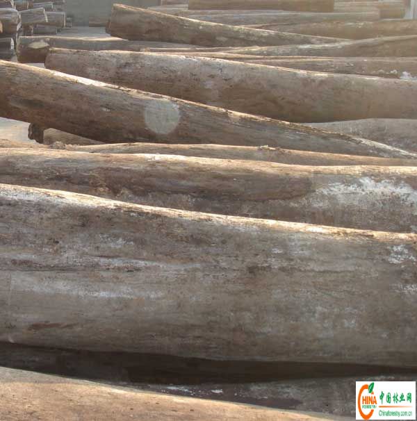 �c(di��n)���鿴�|�ρ����zԭľ�M(j��n)�����P(gu��n)������Ԕ��(x��)�Y��