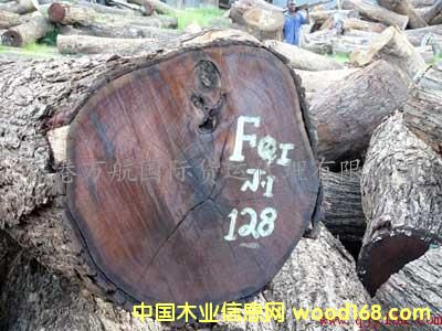 �c(di��n)���鿴����ľ���M(j��n)�ڴ���/ľ���M(j��n)�ں��݈�(b��o)�P(gu��n)����/ľ�ĺ����M(j��n)�ڴ����̙z�Ŵ�DƬ