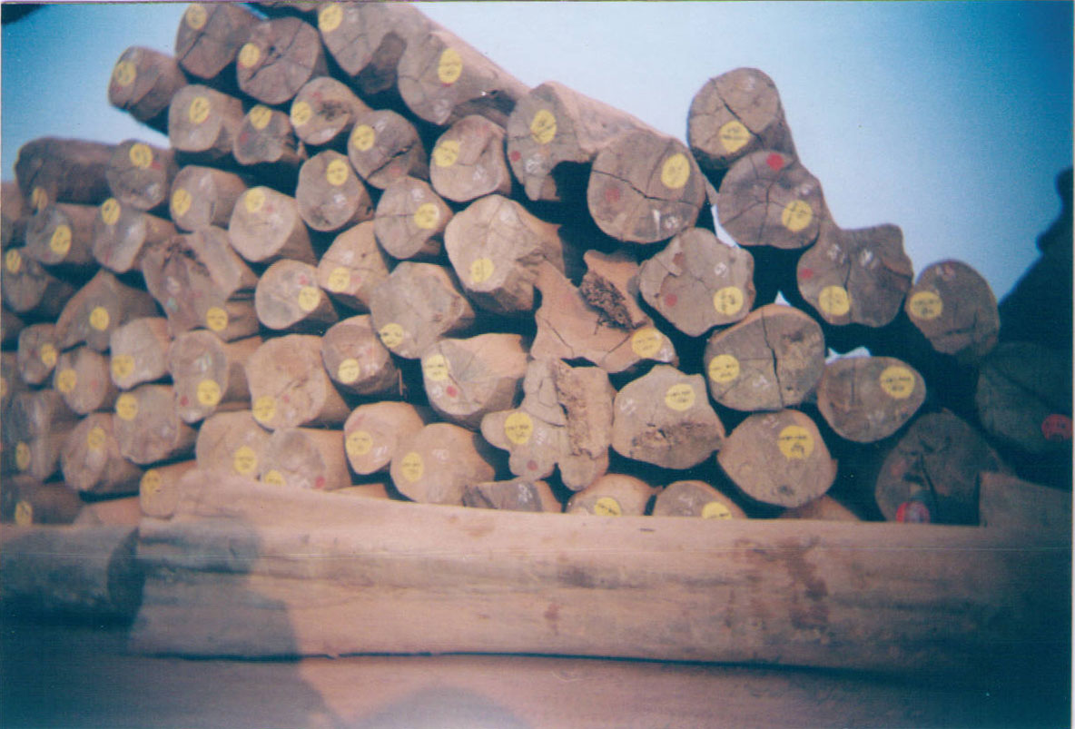 �c(di��n)���鿴��(sh��)Ƥ�M(j��n)�� ��(sh��)Ƥ�M(j��n)�ڈ�(b��o)�P(gu��n) ��(sh��)Ƥ�M(j��n)�ڈ�(b��o)�P(gu��n)���� ��(sh��)Ƥ�M(j��n)�����P(gu��n)��Ԕ��(x��)�Y��