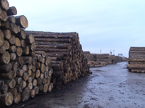 ����/����//�|�ρ�/���_˹ľ���M�ڈ��P����