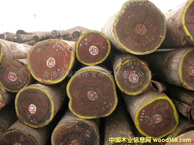 �c(di��n)���鿴��ɽ�Ҿ��M(j��n)�ڈ�(b��o)�P(gu��n)����/ľ���M(j��n)����ɽ�����̙z�Ŵ�DƬ