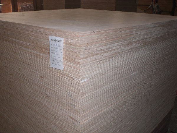 �c(di��n)���鿴��ɭ��֮�ǡ��ذ���ķŴ�DƬ