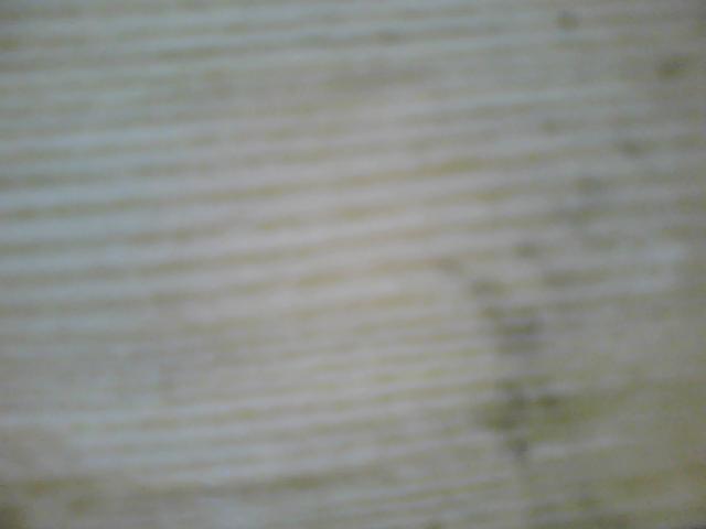 �c(di��n)���鿴��ľ�Ŵ�DƬ