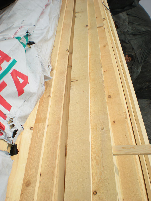 �c(di��n)���鿴�����ɰ巽�Ŵ�DƬ