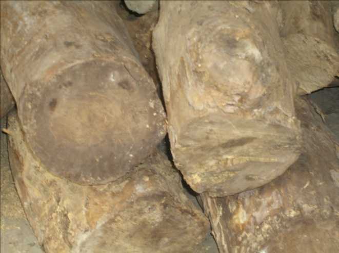 �c(di��n)���鿴�S��ľ�Ŵ�DƬ