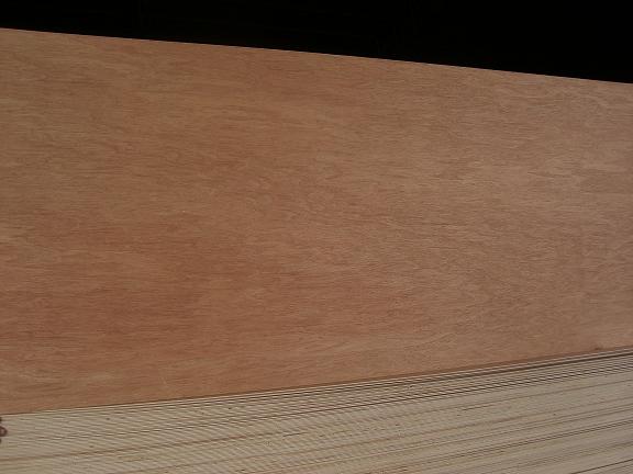 �c(di��n)���鿴���ǹ��Ŵ�DƬ