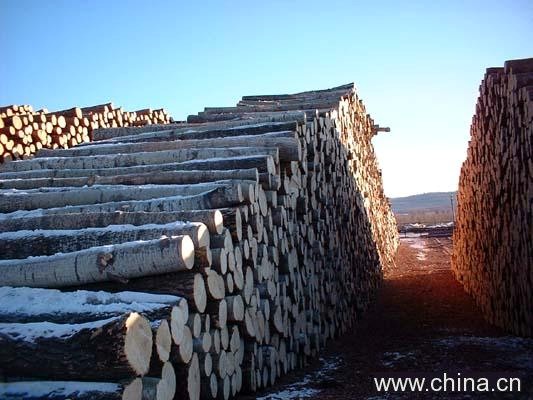 ��ľԭľ����ĵ�Ԕ����B