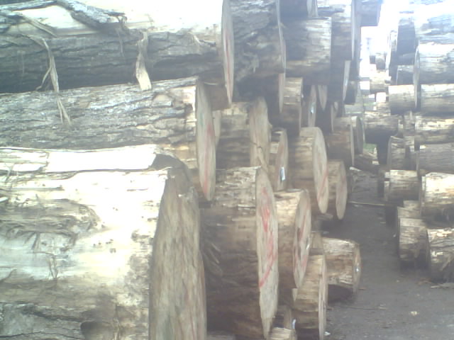 ��ľԭľ����ĵ�Ԕ����B