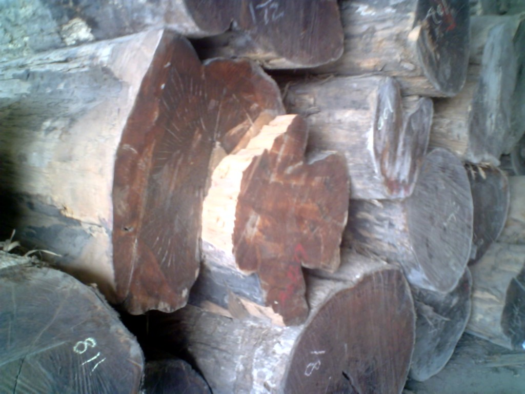 ��ľԭľ����Ĵ󷽵�Ԕ����B