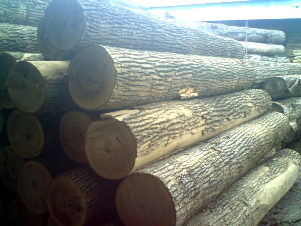 ˮ����ԭľ����ĵ�Ԕ����B