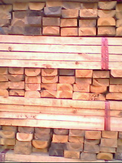 �c(di��n)���鿴ɼľ�Ŵ�DƬ