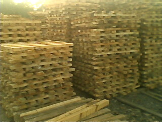 �c(di��n)���鿴��ľ���l�Ŵ�DƬ