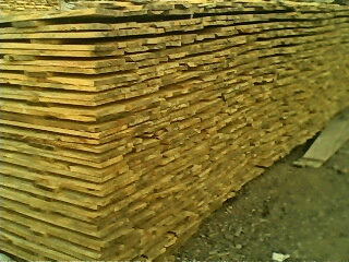 �c(di��n)���鿴��ľ��Ŵ�DƬ