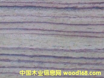 �c(di��n)���鿴ӡ����̴sonokeling�Ŵ�DƬ