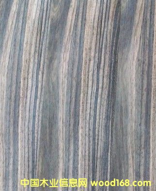 �c(di��n)���鿴ӡ����̴sonokeling�Ŵ�DƬ