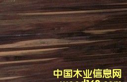 �c(di��n)���鿴ӡ����̴�Ŵ�DƬ