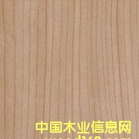 �c(di��n)���鿴��������ֱ�y�Ŵ�DƬ