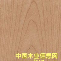 �c(di��n)���鿴��������ɽ�y�Ŵ�DƬ