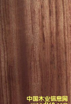 �c(di��n)���鿴ֱ�y����Ŵ�DƬ