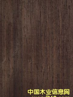 �c(di��n)���鿴ӡ����֦ľƤ�Ŵ�DƬ