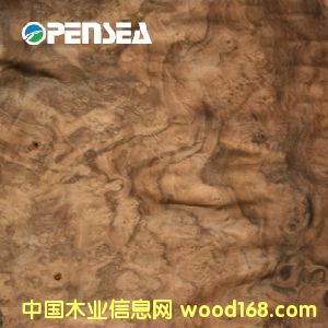 �ں��Ҙ���ľƤ