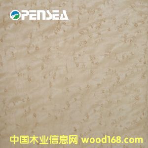 ��ľȸ��ľƤ