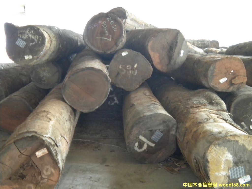 �c���鿴������ľ�Ŵ�DƬ