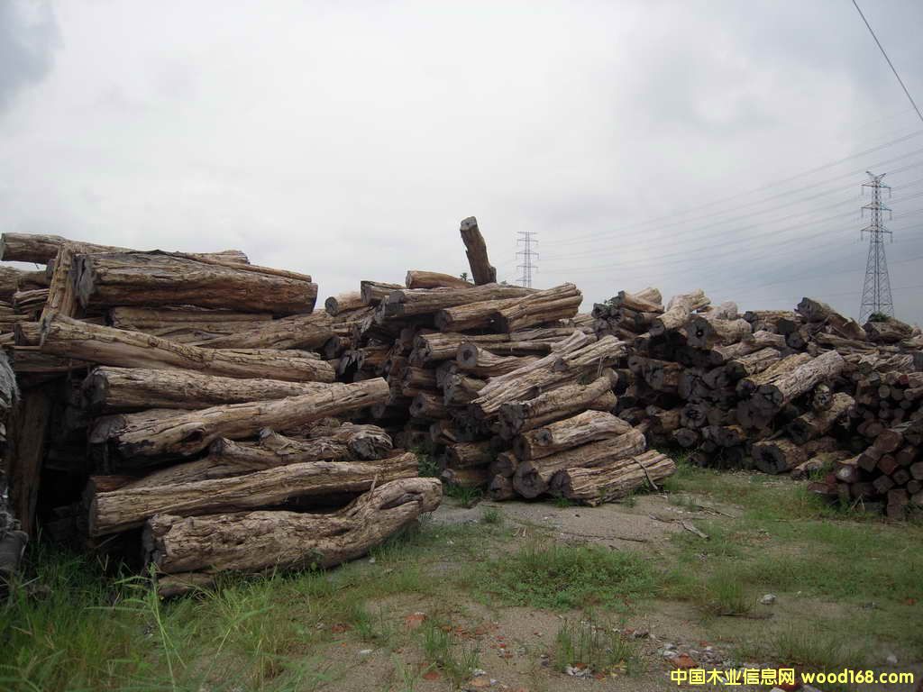 �c���鿴��̴�Ŵ�DƬ