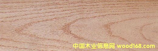 �����t���ĵ�Ԕ��(x��)��B